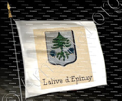 drapeau-EPINAY_Livre d'Or du Canton de Fribourg (Freiburg). (Alfred Raemy, 1898)_Schweiz Suisse Svizzera Switz