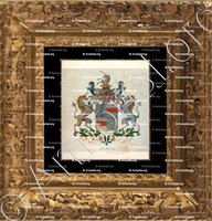 cadre-ancien-or-ALYVA_Wapenboek van den Nederlandschen Adel. (J.B. Rietstap)._Nederland (i)