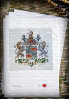 velin-d-Arches-ALYVA_Wapenboek van den Nederlandschen Adel. (J.B. Rietstap)._Nederland (i)