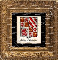 cadre-ancien-or-TALBOT of MALAHIDE_Baron Talbot of Malahide_Irland