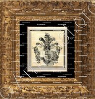 cadre-ancien-or-BUDIG von TANNHOFEN_Saxe - (Nob. du St.-Empire, 3 août 1798._Deutschland