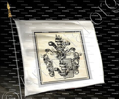 drapeau-BUDIG von TANNHOFEN_Saxe - (Nob. du St.-Empire, 3 août 1798._Deutschland