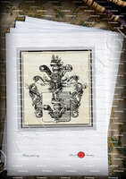 velin-d-Arches-BUDIG von TANNHOFEN_Saxe - (Nob. du St.-Empire, 3 août 1798._Deutschland