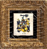 cadre-ancien-or-VAN VELDE_Brussel-Hoofdstad_België