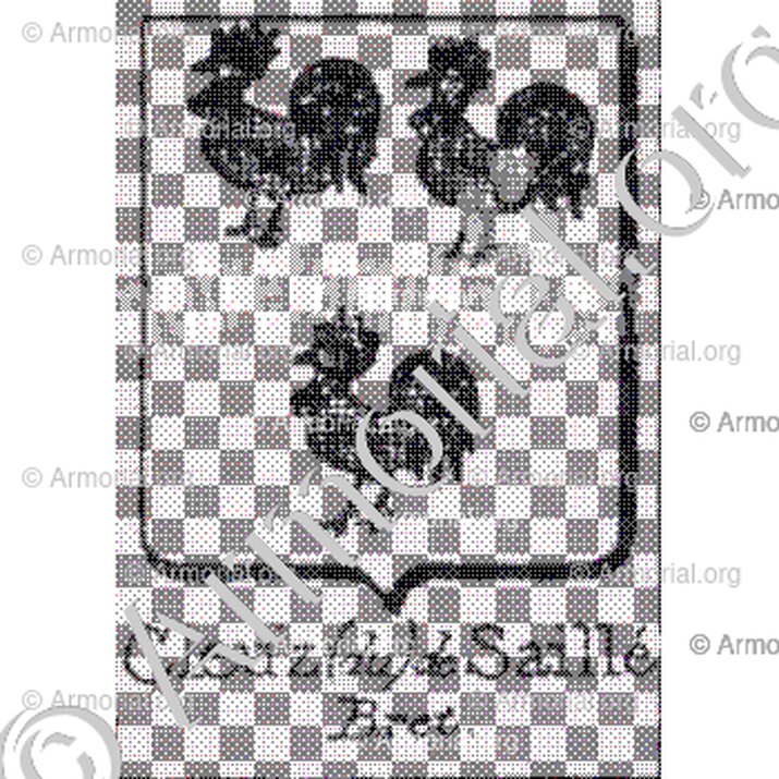 Cleuz (du) de Saillé__