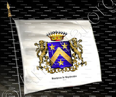 drapeau-BAUCHERON de LECHEROLLES_Berry_France (2)