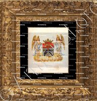 cadre-ancien-or-BOREEL van HOGELANDEN_Wapenboek van den Nederlandschen Adel. (J.B. Rietstap)._Nederland +