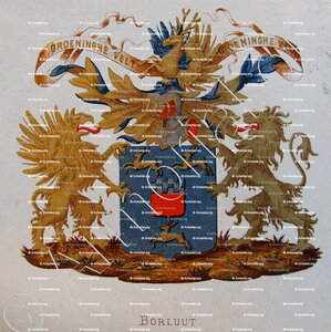 BORLUUT