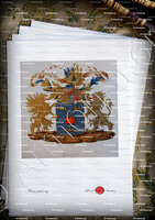 velin-d-Arches-BORLUUT_Wapenboek van den Nederlandschen Adel. (J.B. Rietstap)._Nederland