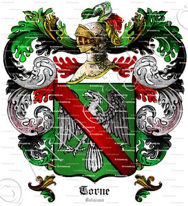 TORNE