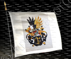 drapeau-JONAS_~1