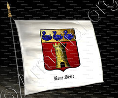 drapeau-René Sève_..._Belgique (4)