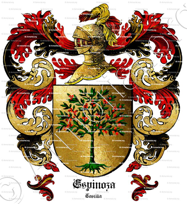 ESPINOZA_Castilla_España (ii)