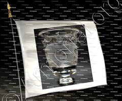 drapeau-Armoiries en cours d' identification (1)