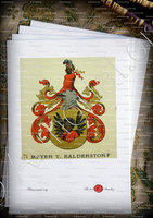 velin-d-Arches-MEYER von BALDERSTORF_Wappenbuch der Stadt Basel . B.Meyer Knaus 1880_Schweiz 