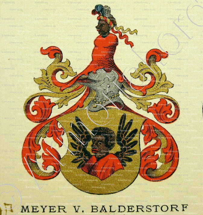 MEYER von BALDERSTORF_Wappenbuch der Stadt Basel . B.Meyer Knaus 1880_Schweiz 