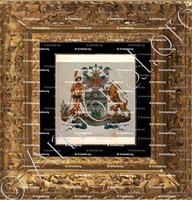 cadre-ancien-or-BOURCOURD_Wapenboek van den Nederlandschen Adel. (J.B. Rietstap)._Nederland