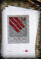 velin-d-Arches-MILLON_Armorial Nice. (J. Casal, 1903) (Bibl. mun. de Nice)._France (i)