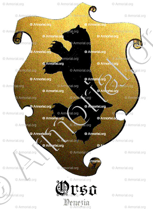 ORSO_Venezia_Italia