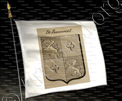 drapeau-DE BONNAVENT_Auvergne_France