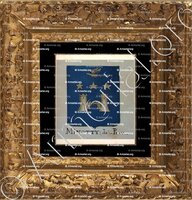 cadre-ancien-or-MINOTTY_Armorial Nice. (J. Casal, 1903) (Bibl. mun. de Nice)._France (i)