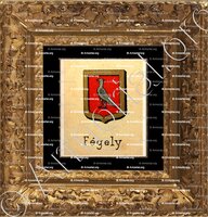 cadre-ancien-or-FEGELY_Livre d'Or du Canton de Fribourg (Freiburg). (Alfred Raemy, 1898)_Schweiz Suisse Svizzera Switz