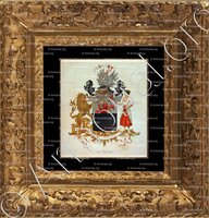 cadre-ancien-or-BRAAM_Wapenboek van den Nederlandschen Adel. (J.B. Rietstap)._Nederland (i)