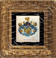 cadre-ancien-or-ARNTZENIUS_Wapenboek van den Nederlandschen Adel. (J.B. Rietstap)._Nederland (i)