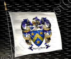 drapeau-BAYARD de MARSAT_France_France (ii)