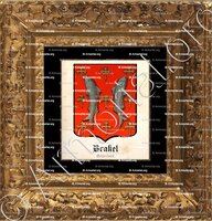 cadre-ancien-or-BRAKEL_Gelderland_Nederland (+)