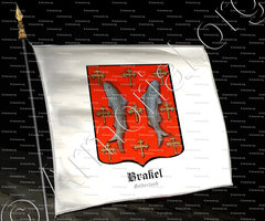 drapeau-BRAKEL_Gelderland_Nederland (+)