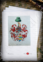 velin-d-Arches-MOLIERE