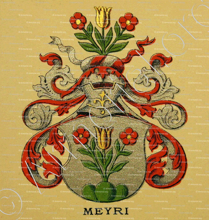 MEYRI_Wappenbuch der Stadt Basel . B.Meyer Knaus 1880_Schweiz 