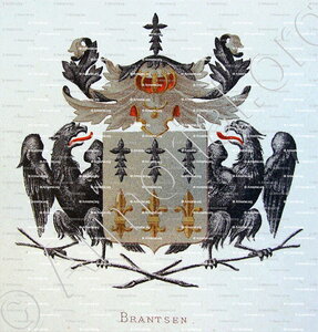 BRANTSEN