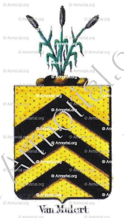 VAN MULERT_Armorial royal des Pays-Bas_Europe