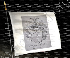 drapeau-WENCKER_Alsace (Armorial Daniel Sandoz, 1996)._France
