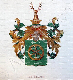 BRAUW_Wapenboek van den Nederlandschen Adel. (J.B. Rietstap)._Nederland (i)
