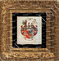 cadre-ancien-or-BREUGEL DOUGLAS_Wapenboek van den Nederlandschen Adel. (J.B. Rietstap)._Nederland (i)