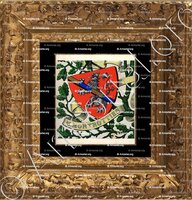 cadre-ancien-or-MENTHON MONTROTTIER_Armorial et Nobiliaire de Savoie. (Cte de Foras)_France