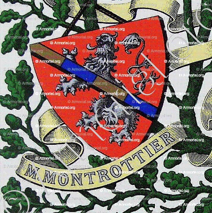 MENTHON MONTROTTIER_Armorial et Nobiliaire de Savoie. (Cte de Foras)_France
