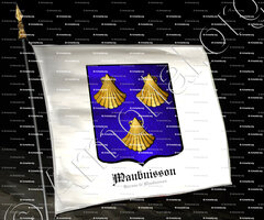 drapeau-MAUBUISSON_Barons de Maubuisson_France