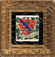cadre-ancien-or-MENTHON ROCHEFORT_Armorial et Nobiliaire de Savoie. (Cte de Foras)_France