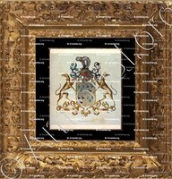 cadre-ancien-or-AUBREME_Wapenboek van den Nederlandschen Adel. (J.B. Rietstap)._Nederland (i)