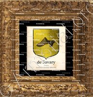 cadre-ancien-or-de SAVARY_Poitou, 1696._France