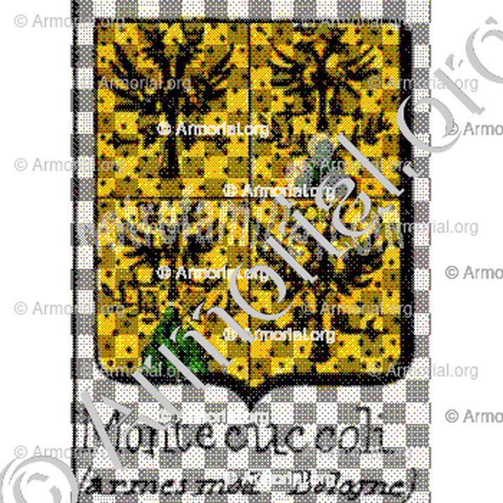 Montecuccoli__