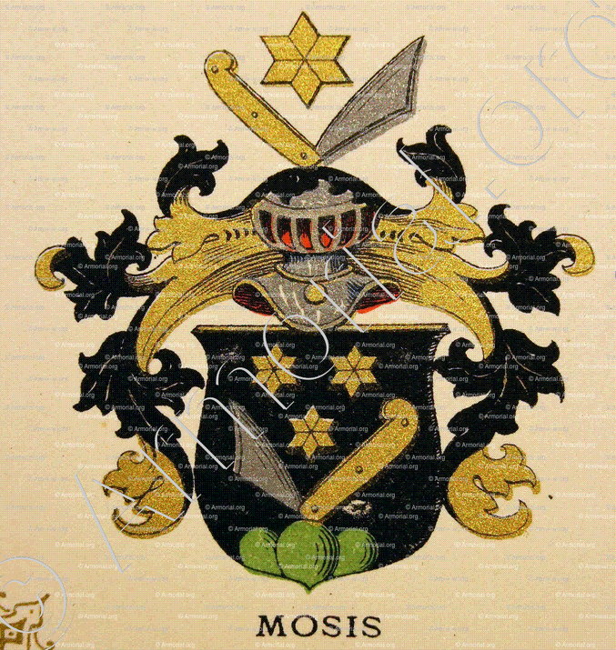 MOISIS_Wappenbuch der Stadt Basel . B.Meyer Knaus 1880_Schweiz 