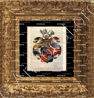 cadre-ancien-or-Auf ALTENSTADT_Wapenboek van den Nederlandschen Adel. (J.B. Rietstap)._Nederland (i)