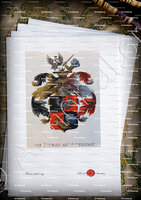 velin-d-Arches-Auf ALTENSTADT_Wapenboek van den Nederlandschen Adel. (J.B. Rietstap)._Nederland (i)