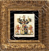 cadre-ancien-or-SAUVAGE (de)_Noblesse belge_Belgique (2)+