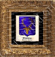 cadre-ancien-or-WILLEKENS_Amsterdam, Rotterdam._Nederland (i)